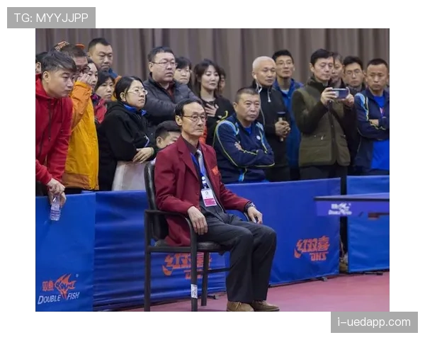 比赛用球合格标志与裁判更换流程规则解析
